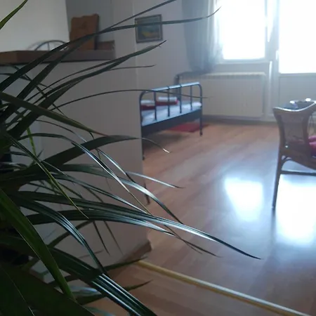 Apartment Alexandar Belgrade