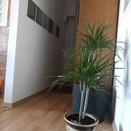 Alexandar Apartment Belgrade